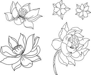 Beautiful lotus and cherry flower set isolate on white background.sticker lotus flower and sakura for printing.