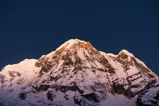 Annapurna at dawn.