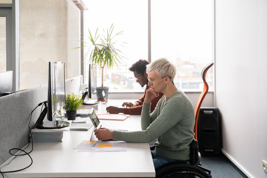 People Working At Office 