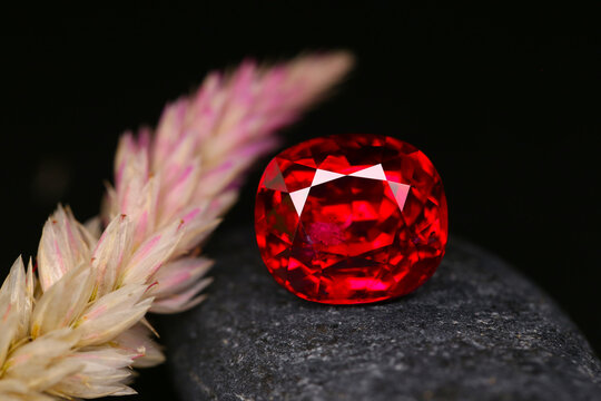 a red ruby gems on a leaf