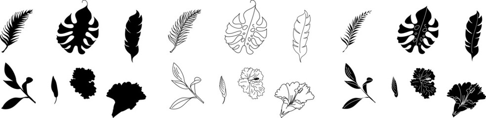 Leaf set vector with Hibiscus flower.