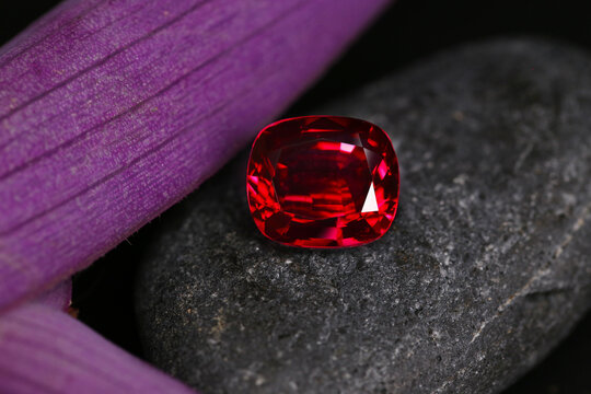 a red ruby gems on a leaf