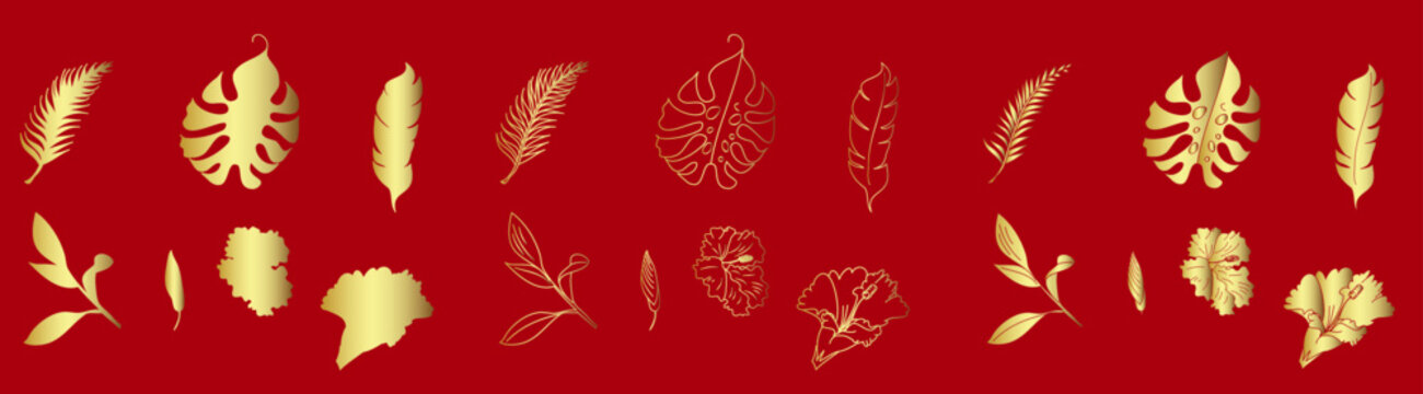Leaf set vector with Hibiscus flower.