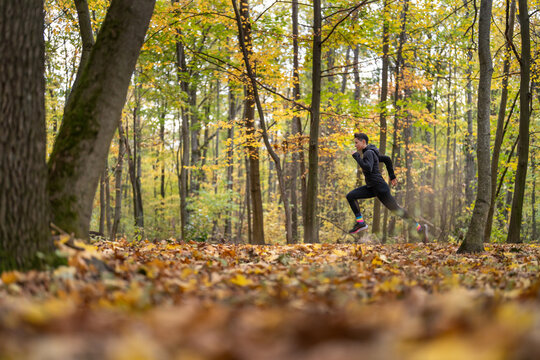 Sportive woman runs in colorful fall park