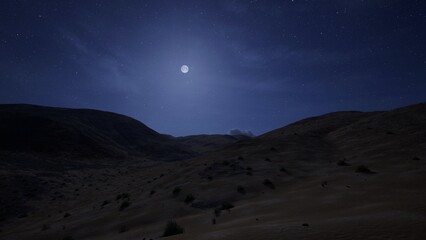 Desert Night