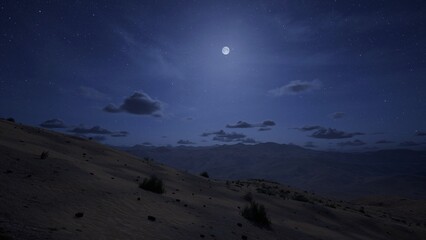 Desert Night