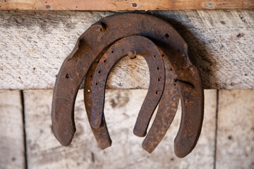Rusty horseshoes