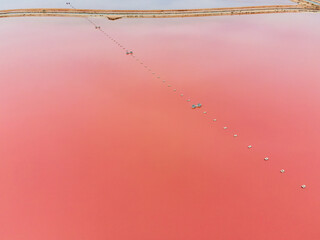 Pink Lake, Hutt Lagoon - Perth, Western Australia 