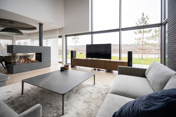 Minimal Design Spacious Living Room