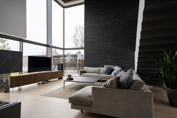 Minimal Design Living Room