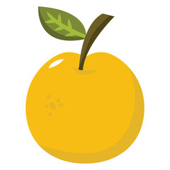lemon vector illustration