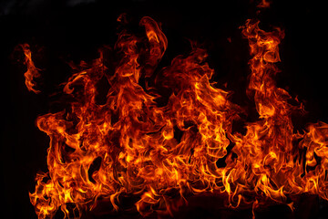 Fototapeta na wymiar Blaze burning fire flame on art texture background.