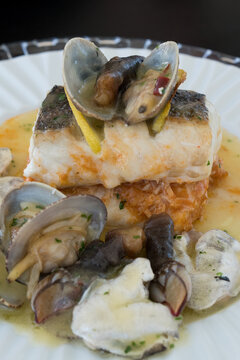 Barnacle and clams