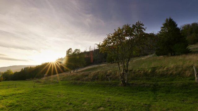 4k footage filmed in November 2022 in Thuringia using the Panasonic S1, Ronin RS3 Pro and tilta float.