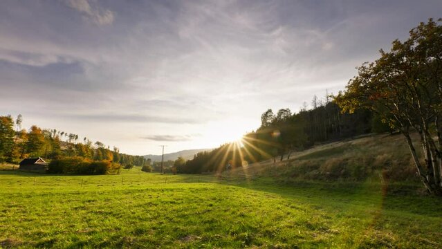 4k footage filmed in November 2022 in Thuringia using the Panasonic S1, Ronin RS3 Pro and tilta float.