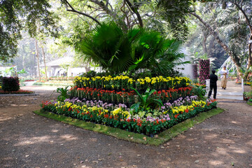 25 January 2023, Pune, India, The empress Botanical Garden during Annual flower show in Pune.