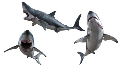 3d render white shark creature from the sea