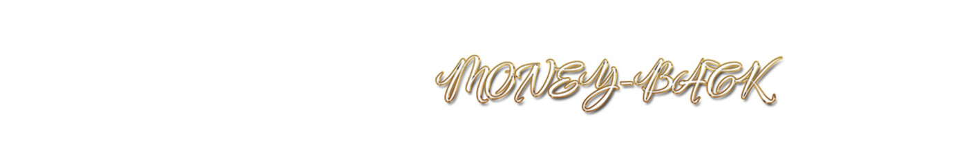 Money Back word gold typography banner with transparent background