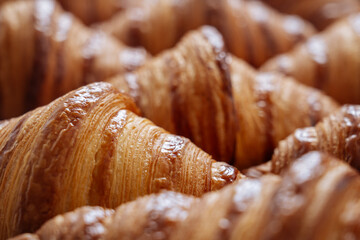 Tray of fresh croissants