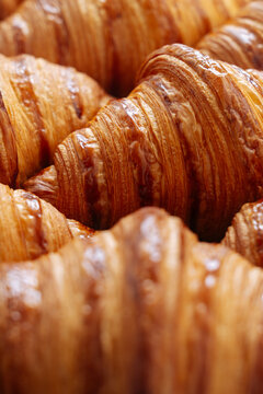 Tray of fresh croissants