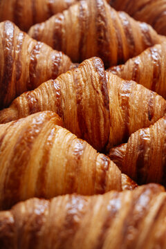 Tray of fresh croissants