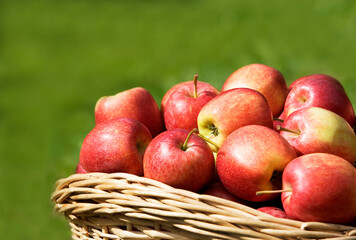 Red apples in  the basket
