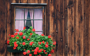 Fototapeta na wymiar flower window with geraniums on the wooden facade of a old farmhouse, 