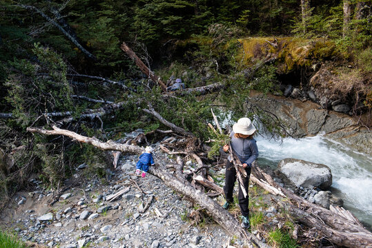 Kids collecting fire wood, New Zealand.