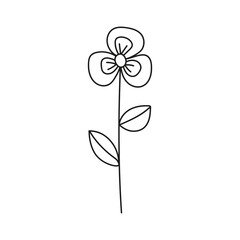 Hand drawn illustration of flowers