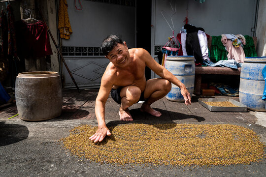 An urban farmer smiles while spreading bean sprouts on the street