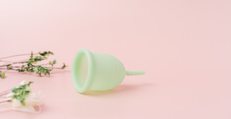 Green menstrual cup on a pink background next to dry plants.