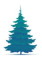 One tall spruce tree illustration, European spruce evergreen coniferous tree in side view isolated