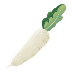 Radish cute illustration element food