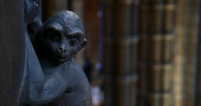 Gorilla within The Natural History Museum, London, United Kingdom