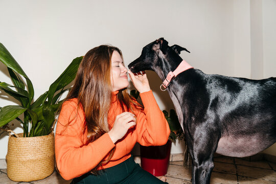 Woman and black greyhound dog