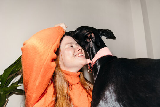 Woman and black greyhound dog