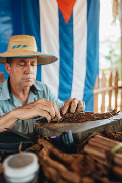 Cuban man making cigar in traditional way