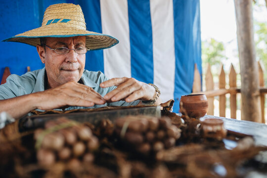 Concentrated aged man making traditional cigar