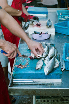 Hands of a man carving fish at the fish market