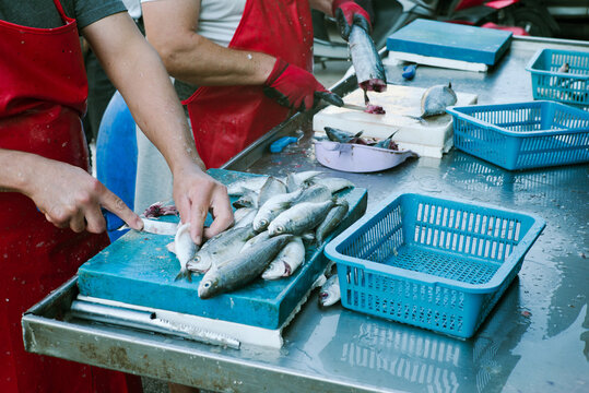 Hands of a man carving fish at the fish market