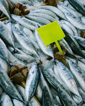 Plenty of fresh fish on the counter with a bright plastic sign