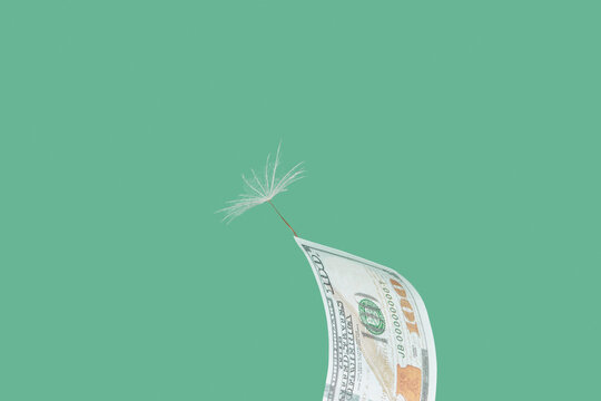 Dollar with dandelion seed on corner of bill.
