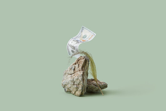 Composition of dollar and stone with green grass.