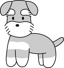 ほっこりかわいい横向きのシュナウザー1