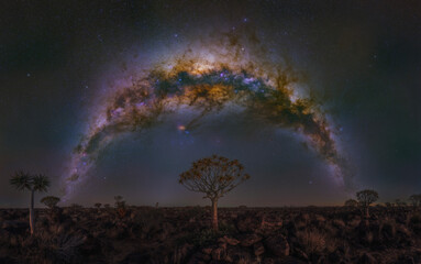 Milky Way with a lonely African tree, Namibia, Africa.