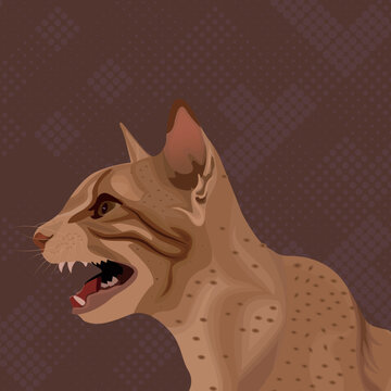 Angry Crying Brown Cat, Brown Vector Art