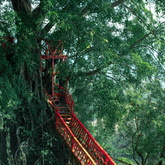  Landscape Green Nature Waterfall in Bogor, Indonesia