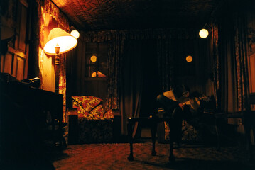 Anonymous Person Reading in 1970s Oriental Living Room