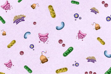 Repeating pattern of collection of plant cell organelles.Illustration 