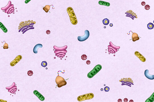 Repeating pattern of collection of plant cell organelles.Illustration 